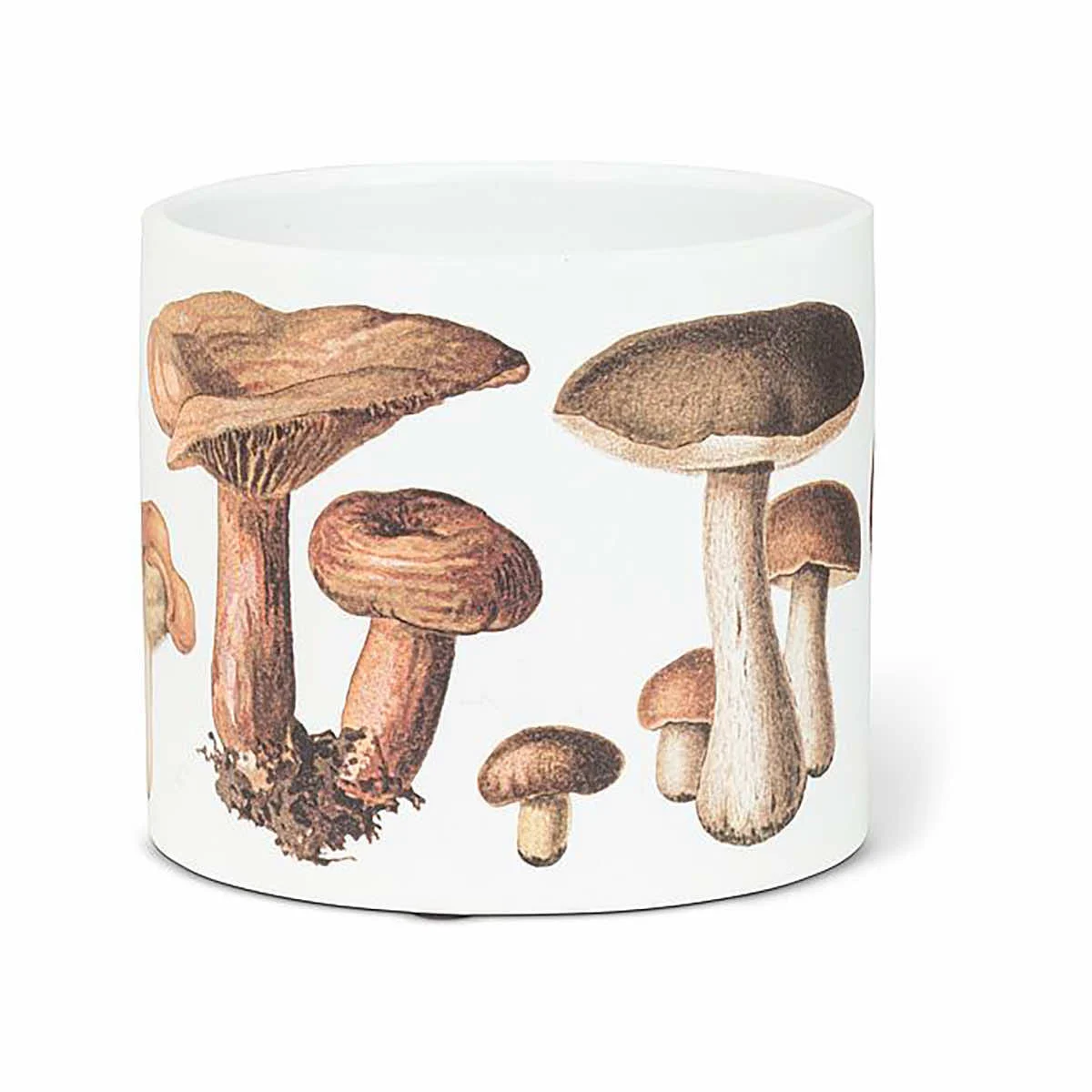 Abbott Small Botanical Mushroom Planter
