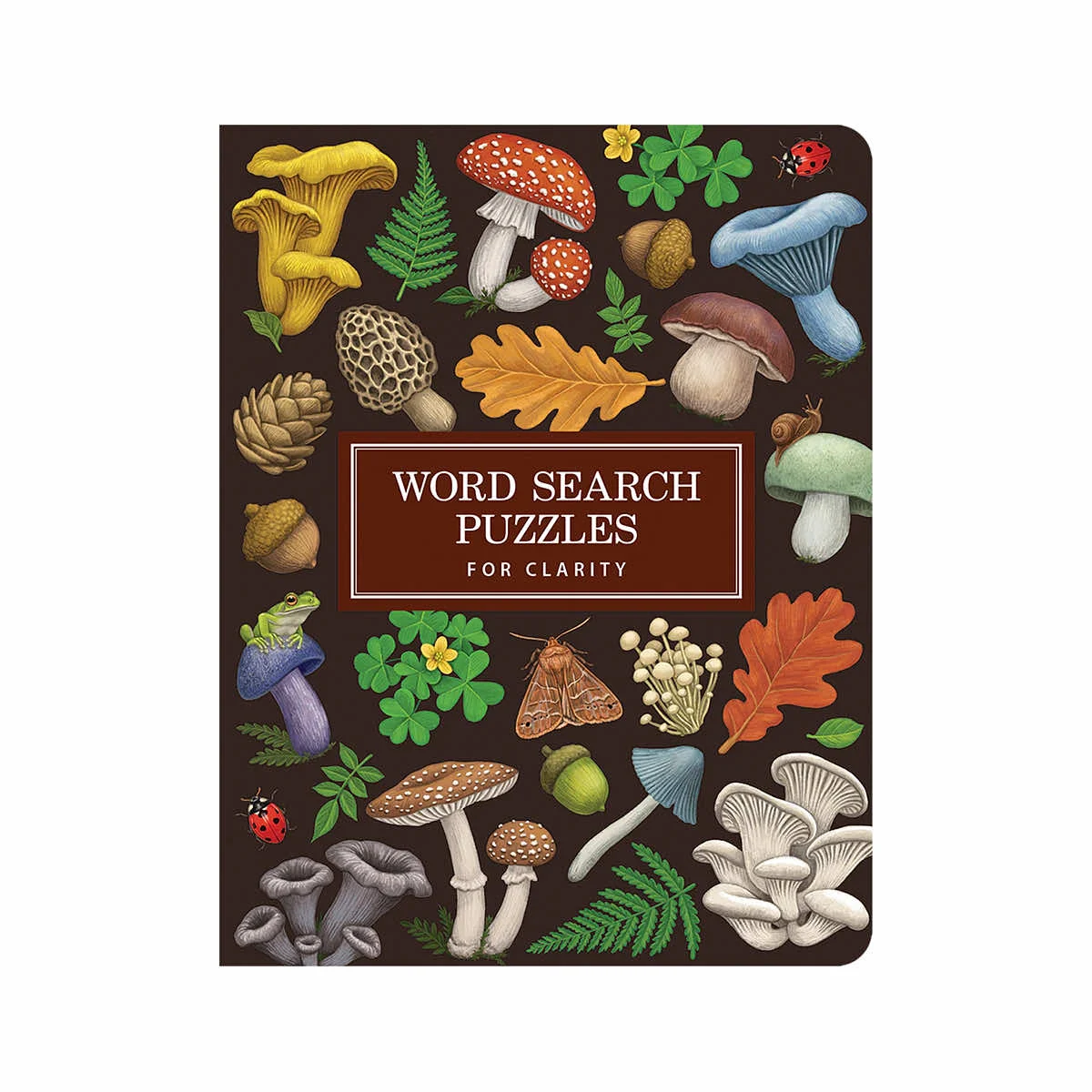 Brain Busters Word Search Puzzles for Clarity Book