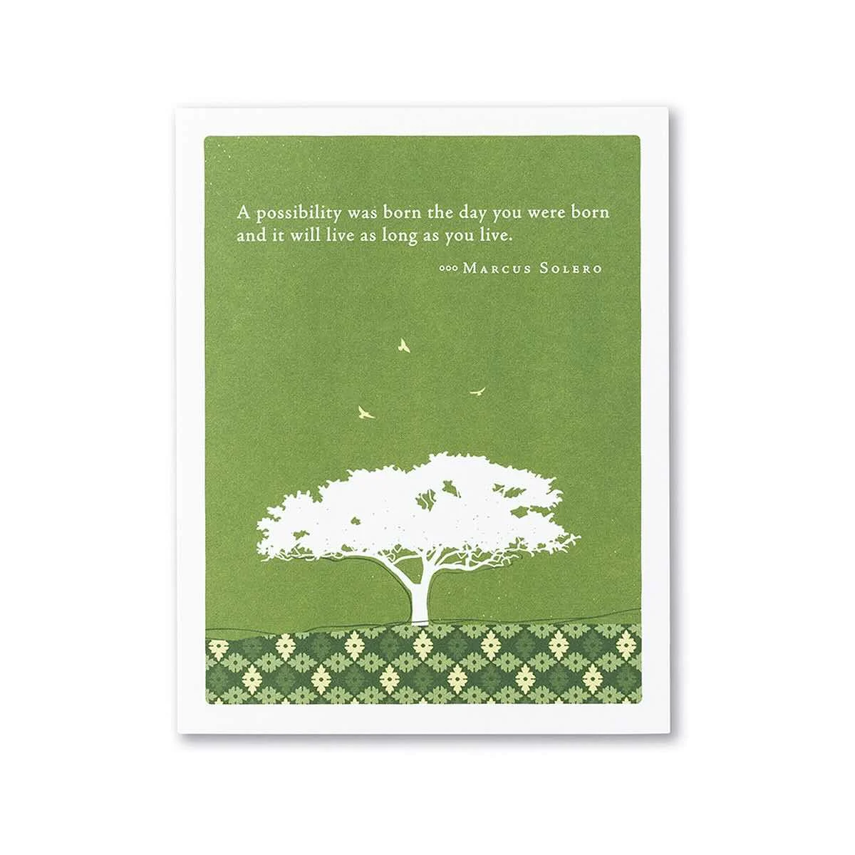 Compendium A Possibility Was Born Birthday Card