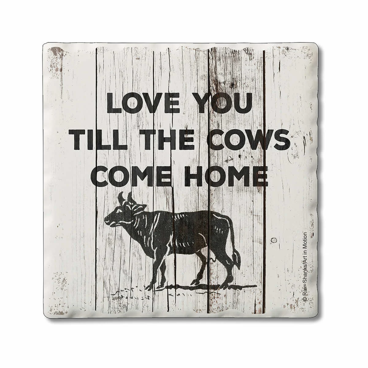 Counter Art South Sayings Single Coaster