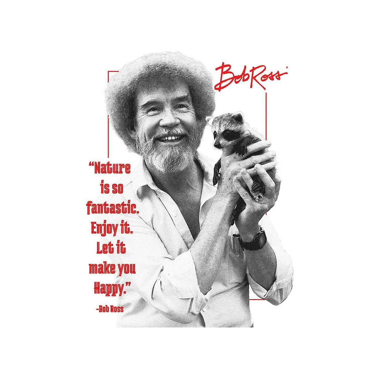 Desperate Enterprises Bob Ross Nature Is So Fantastic Tin Sign