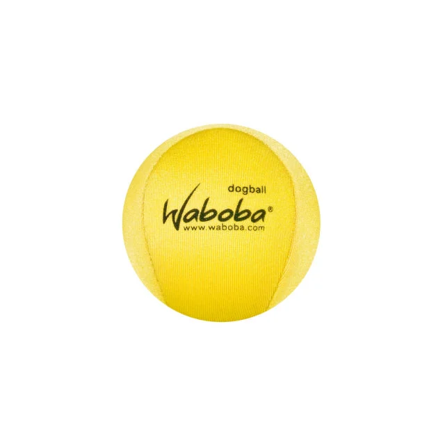 Fetch Water Ball For Dogs