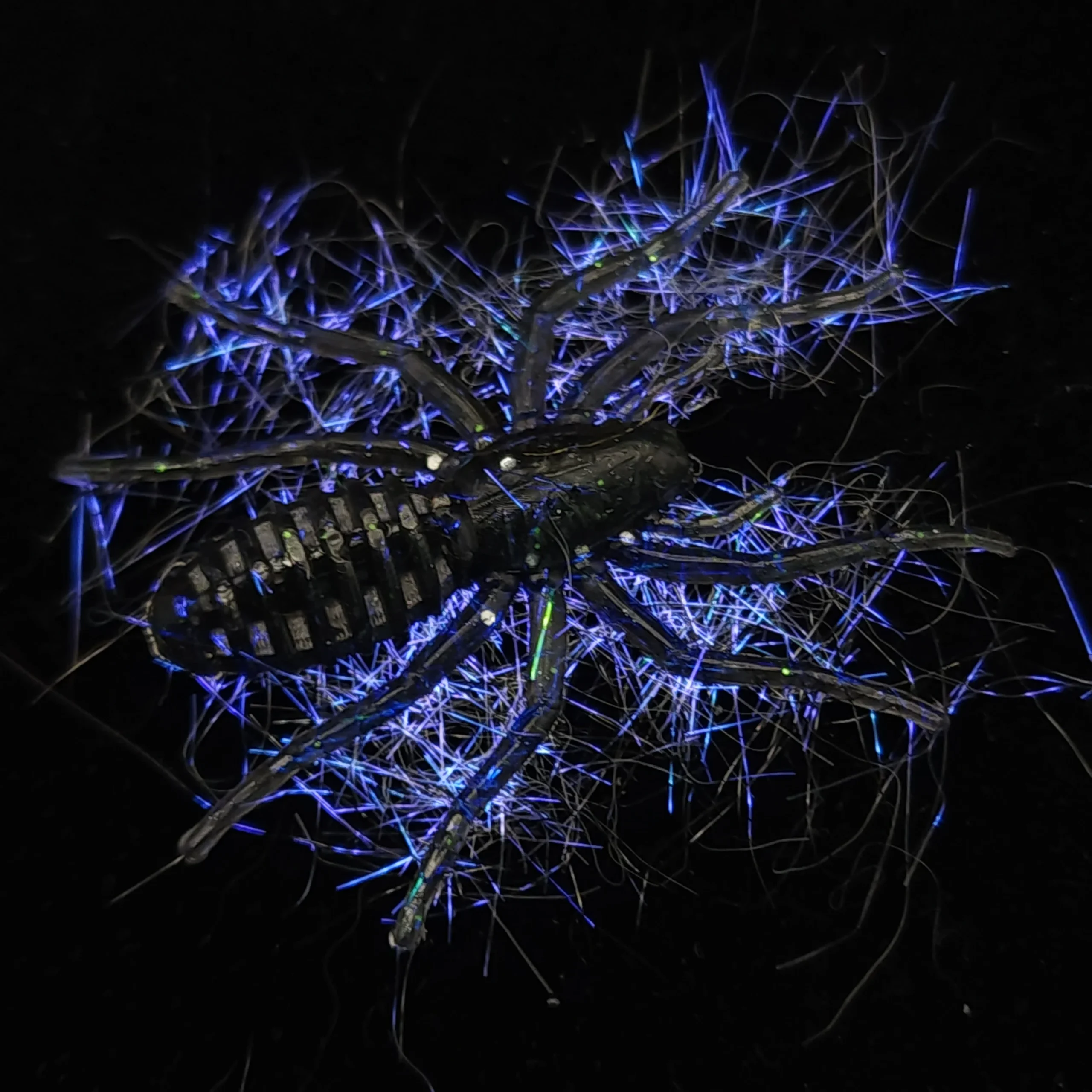 Hairy 1" Micro Spider Bait "The Writing Spider"