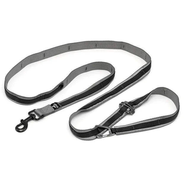 Kurgo Quantum Dog Leash 2.0