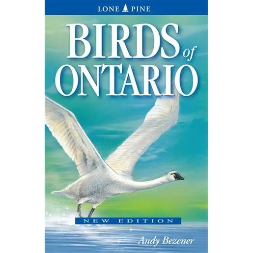 Lone Pine Birds of Ontario