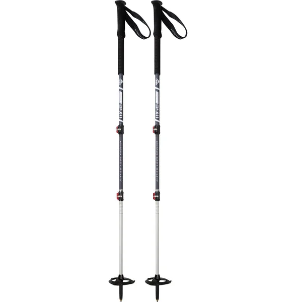 MSR DynaLock Explore Poles (Pair)
