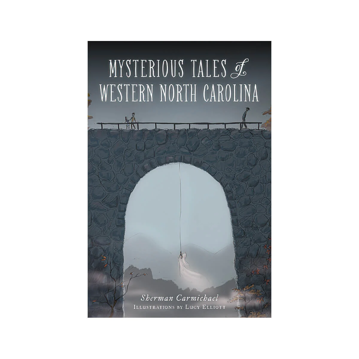 Mysterious Tales of Western North Carolina Book