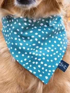 Slip On Dog Bandana