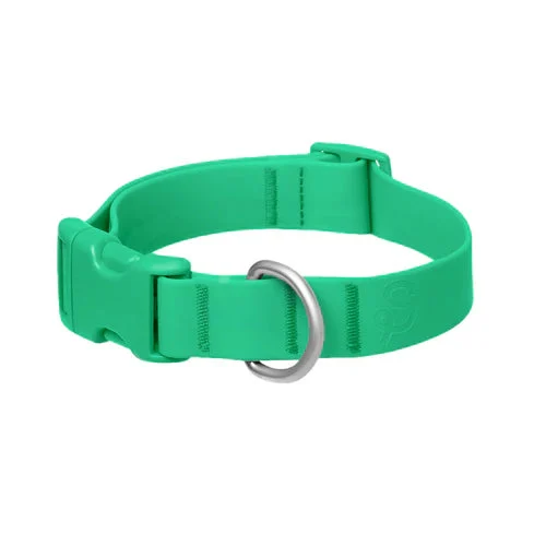 Springer Waterproof & Adjustable Dog Collar