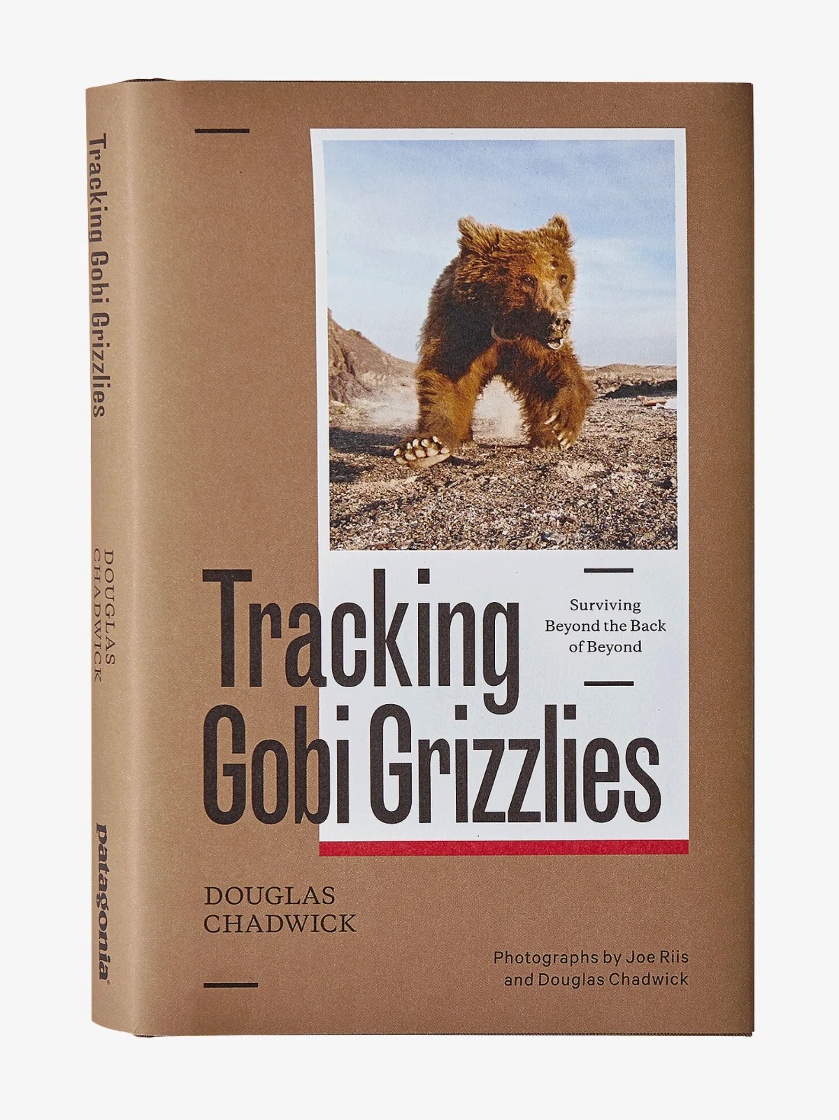 Tracking Gobi Grizzlies